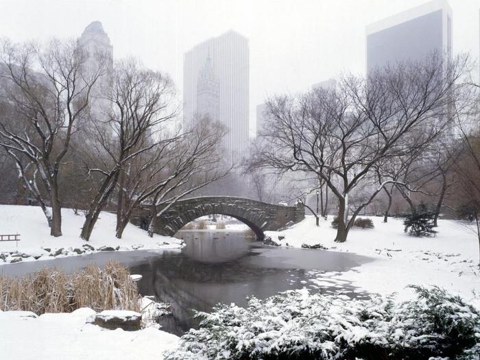 central_park_winter_new_york_city - New York