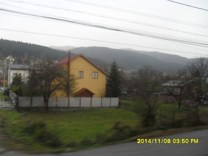 Busteni