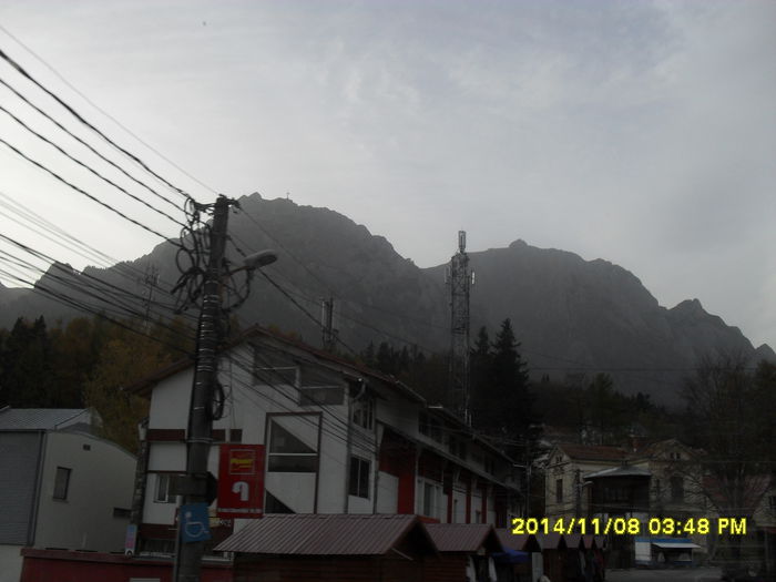 Busteni
