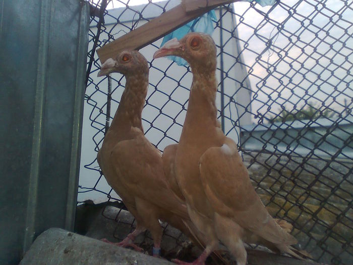 Imagine2180 - carieri 2014 tineret