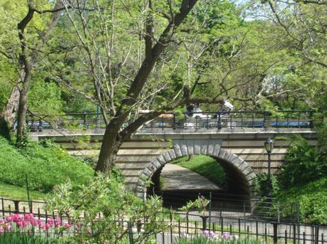 p291526-New_York-Central_Park_in_the_Spring - New York