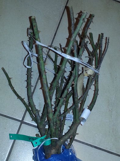 Mulțumesc sannamaria