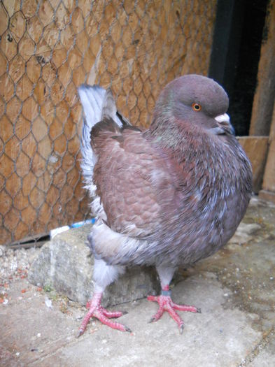 Acelasi 17.11.2014, dupa baie