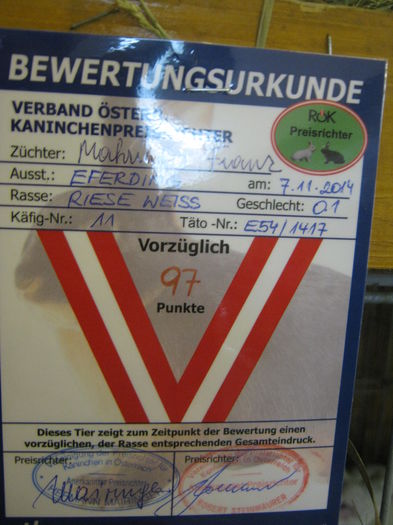 eferding_haslach 053 - E-54-nov --2011-2012-2013-2014