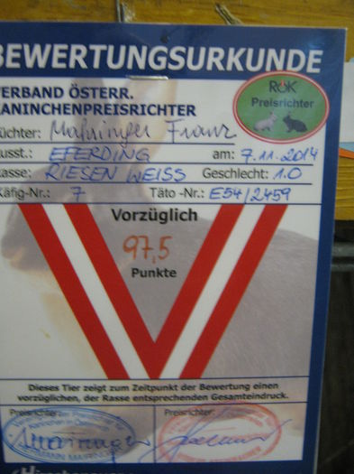 eferding_haslach 056 - E-54-nov --2011-2012-2013-2014