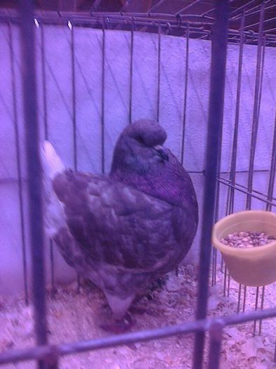 1-0 king loc.II MKK 2014 HARKANY