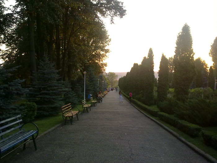 nok 158 - Parcul Copou Vaslui-2012