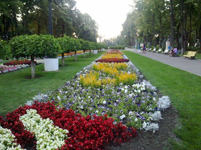 nok 164 - Parcul Copou Vaslui-2012