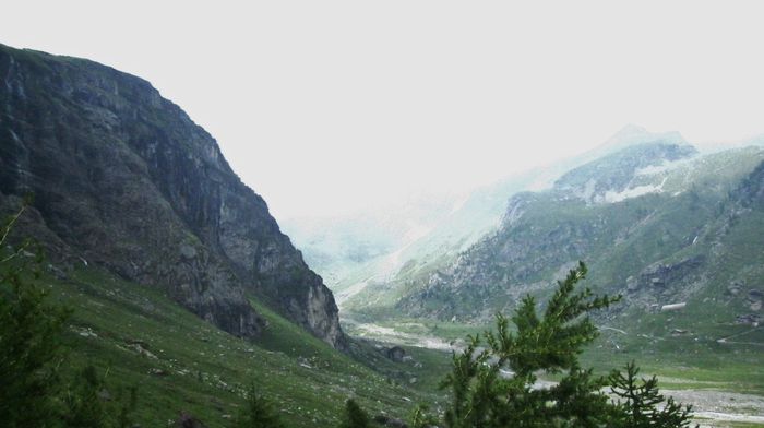 IMG_1247 - Maretia naturii Alpi Italia