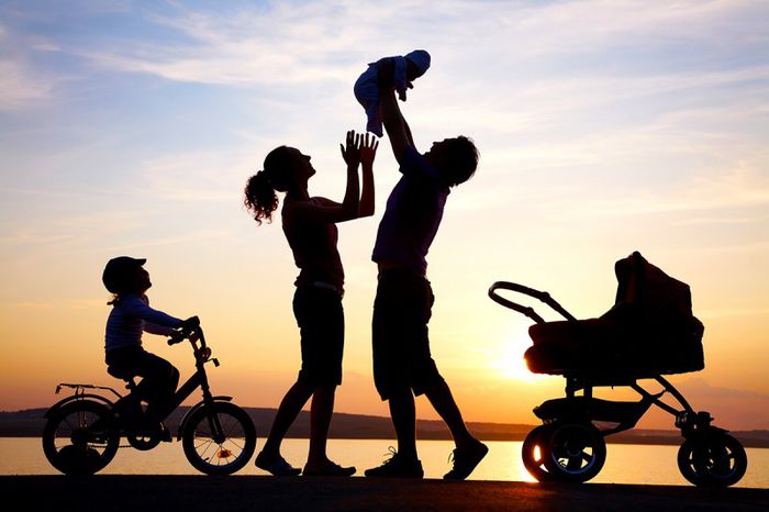familii normale,pt RO! - Diaspora RO-vot 2014 _ stiri diverse