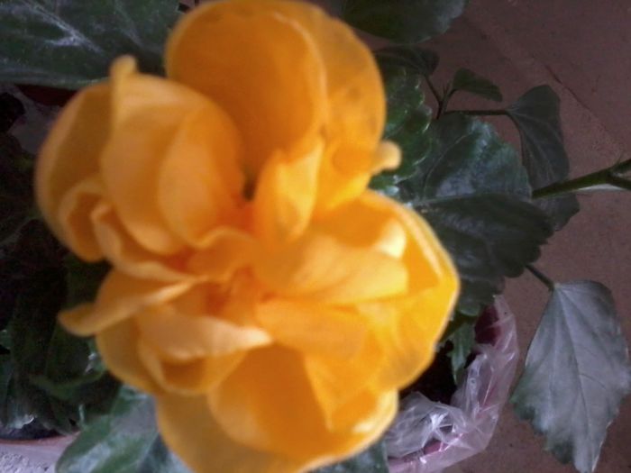 20141106_160430