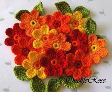 10474121_10203758644238865_5298710773961753939_n