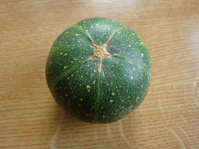 Cucurbita moschata 'Seminole Pumpkin'