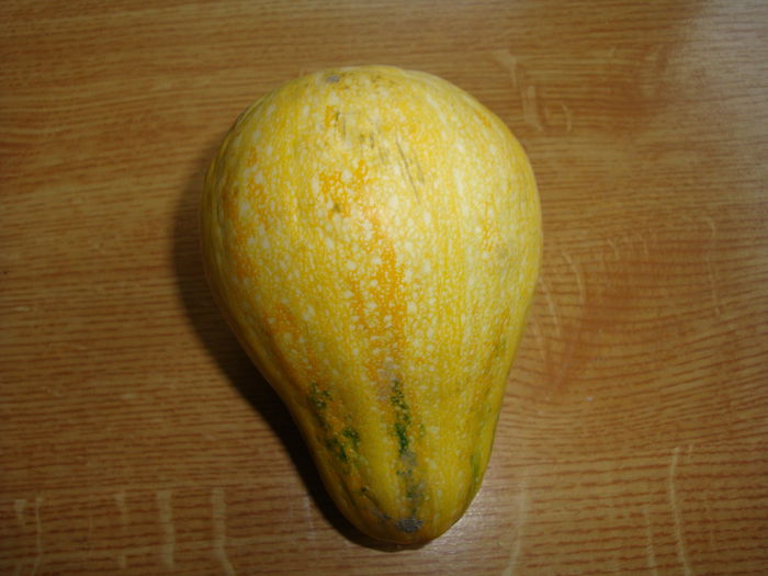 Cucurbita moschata  'Sucrine du Berry' - Genul Cucurbita