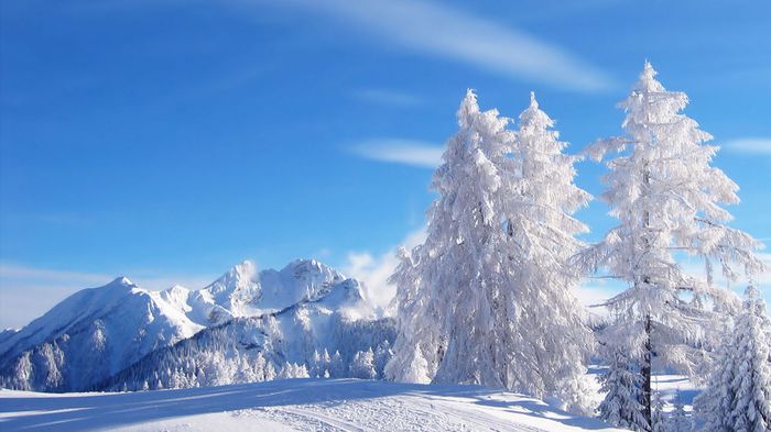 Poze de Craciun din Semenic Peisaje de Iarna - zapada  la munte