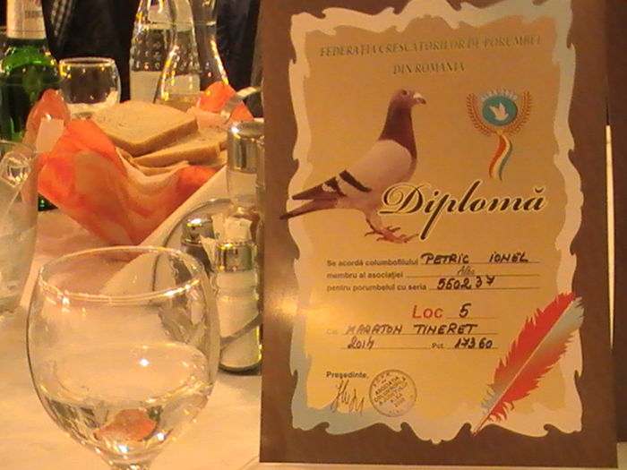 Diploma, loc 5 maraton tineret jud. Alba