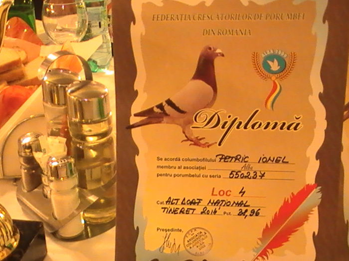 Diploma, loc 4 Altdorf National tineret - Rezultate 2014
