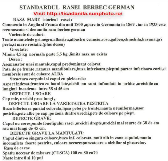 STANDARD BG - 1-BERBEC GERMAN - MARELE BERBEC