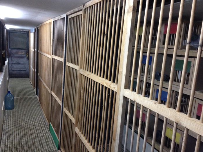 poza 4 - 1-Constructie si modificare crescatorie