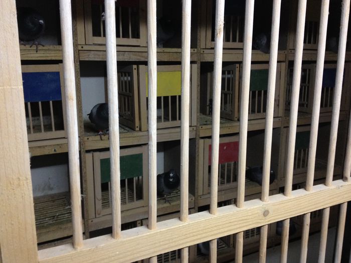 poza 2 - 1-Constructie si modificare crescatorie