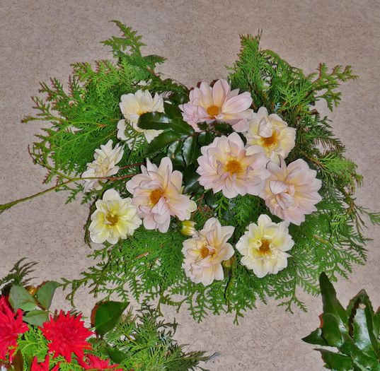 ; P1540582 (1024x1001)
