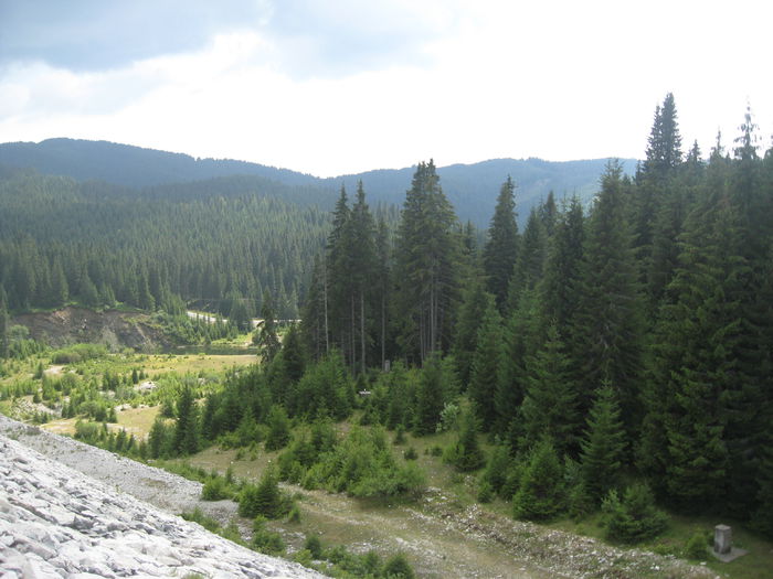 BUCEGI 18 AUGUST 061 - Bucegi