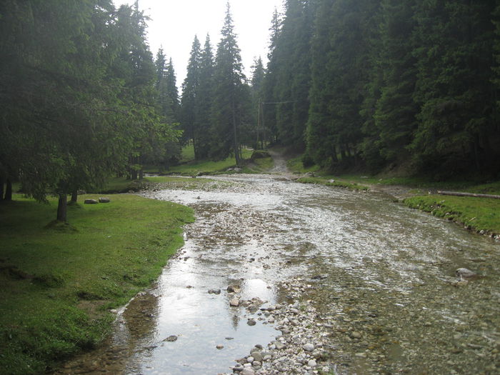 BUCEGI 18 AUGUST 084