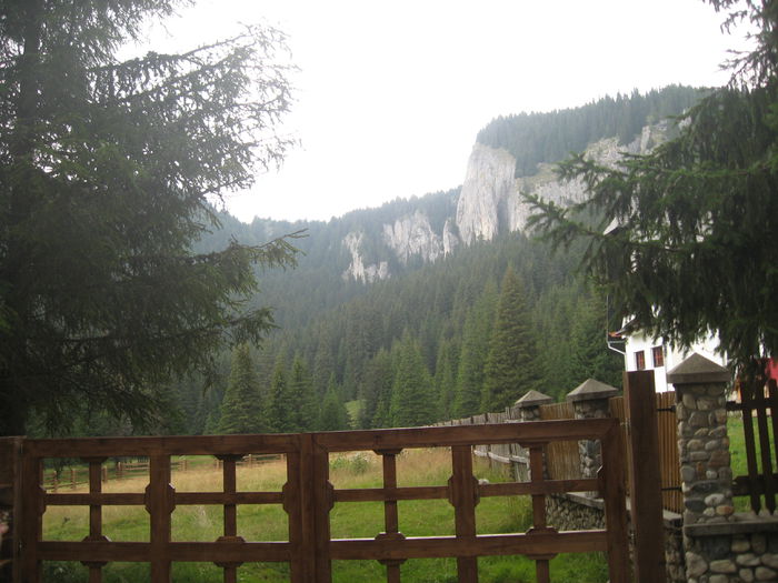 BUCEGI 18 AUGUST 103