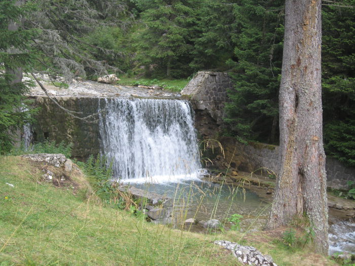 BUCEGI 18 AUGUST 115