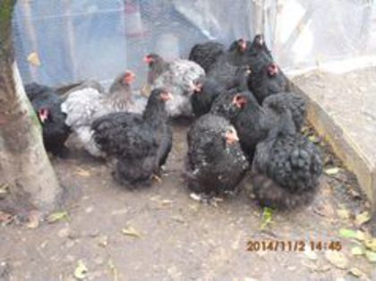 100774647_TIWEDEO3