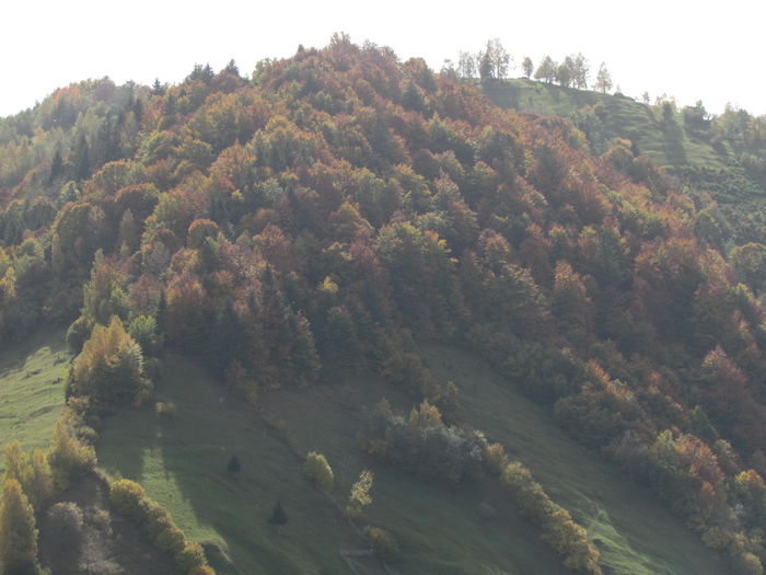 November 2014 600 - Vara - Toamna - Iarna in Transylvania