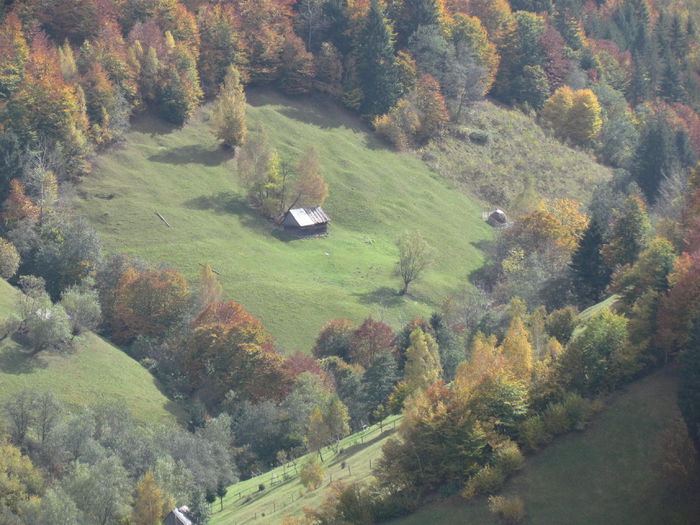 November 2014 612 - Vara - Toamna - Iarna in Transylvania