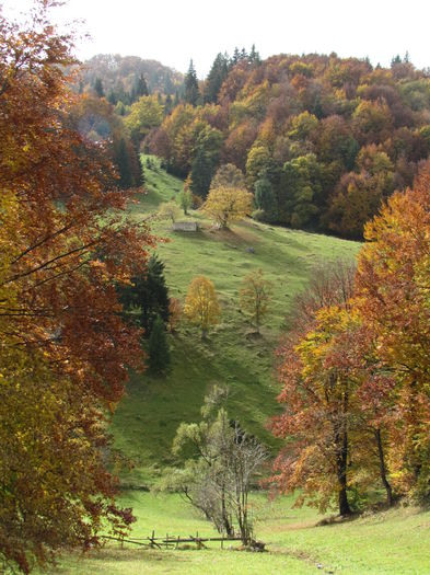 November 2014 660 - Vara - Toamna - Iarna in Transylvania