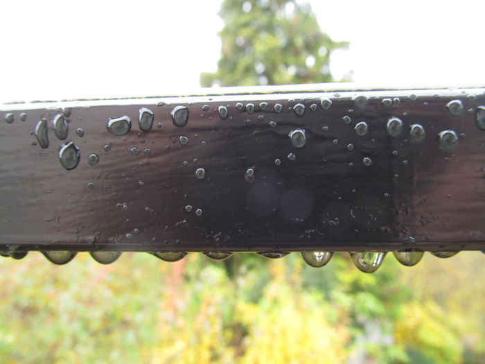  - Diverse 3 - Diverse