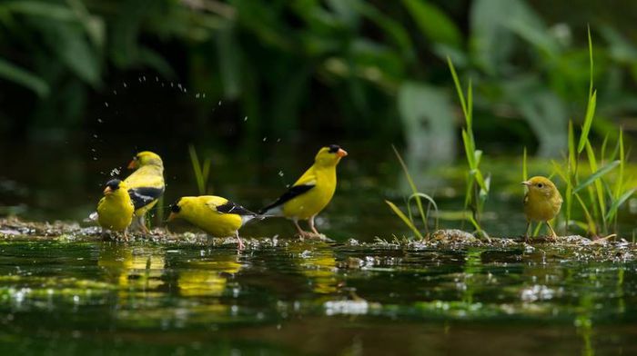 10407254_1017202361639277_2682009861402870974_n