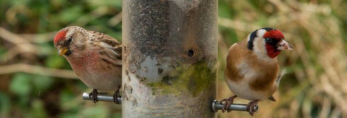 10482747_1001774449848735_4688814728444534111_n