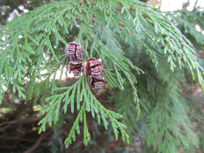  - Diverse 3 - Diverse