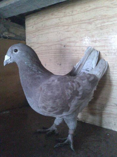 DSC_0517 - 10-lot zbor 2014