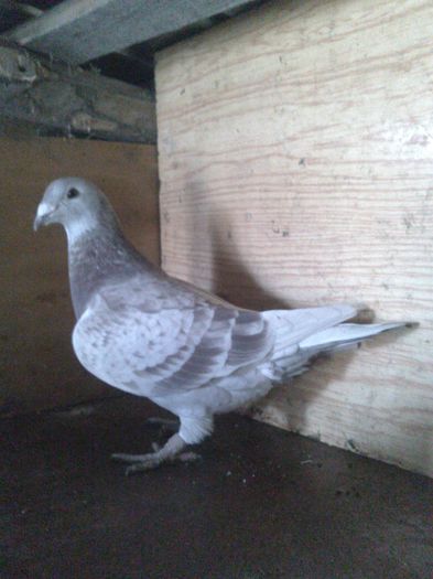 DSC_0527 - 10-lot zbor 2014