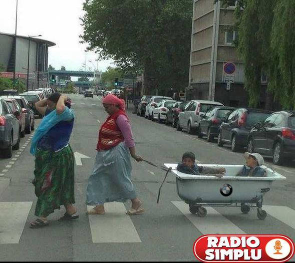 1899995_756506614386832_1823156588800661010_n (1) - DE GUSTIBUS  ET COLORIBUS NON DISPUTANDUM