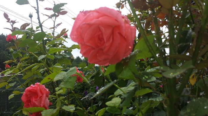 20140722_123054