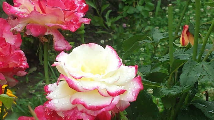 20140722_123124