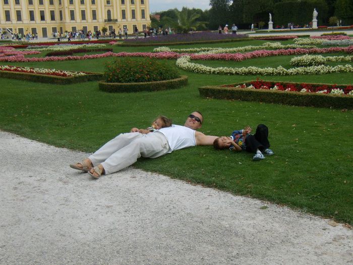 la un pas de amenda ptr gestul facut