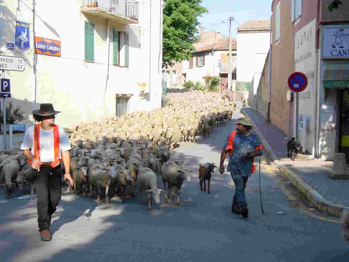 Plecam si noi la munte