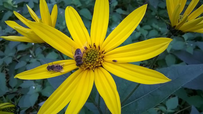 WP_20141003_13_28_14_Pro