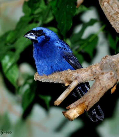 178065_400250990024337_1310873069_o