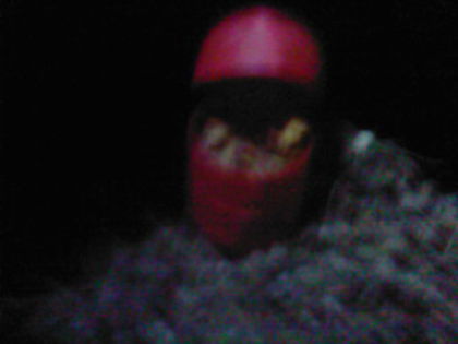 SP_A0699 - seminte de legume si