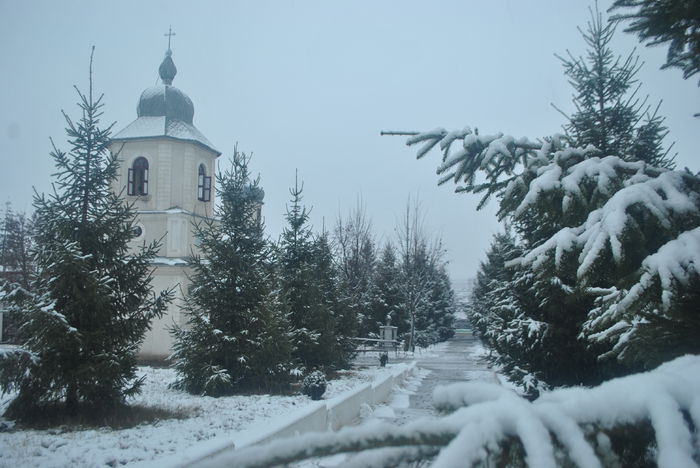 21.11.2014 - Biserica din Vlasinesti