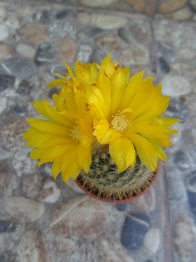 SAM_0645