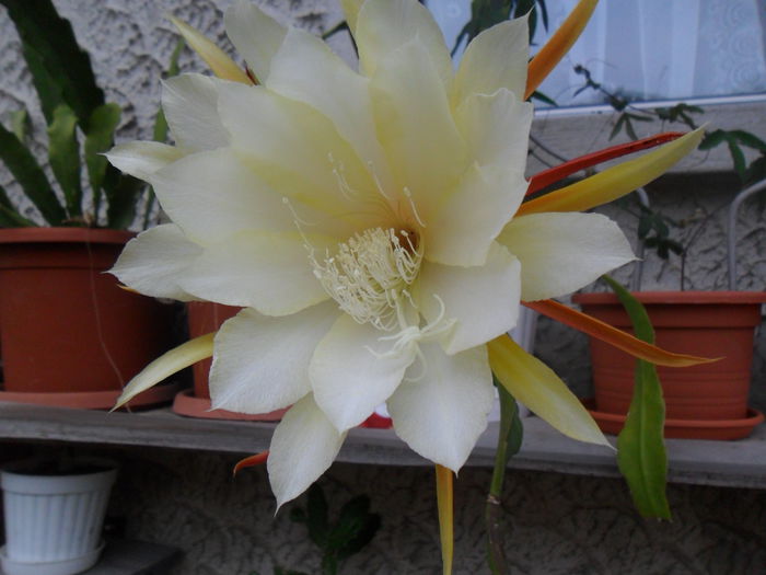 SAM_0714